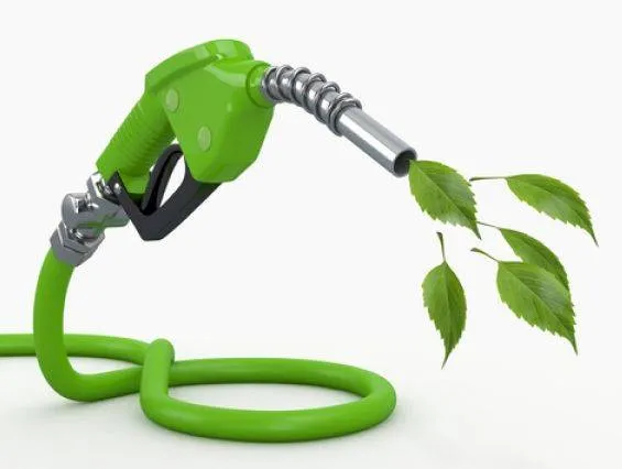 Policy on biofuels  green push  