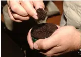 Fire without smoke  on chewable tobacco consumption 