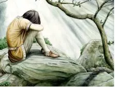 Poignancy  - A quality that arouses emotions (especially pity or sorrow)