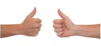 Concordance - Agreement or consistency.
