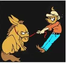 Stubbornly - Refusing to more or change one’s opinion.