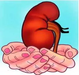 Ethics first — on tn organ transplant allocations