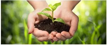 Stewardship - The management or supervision of something.