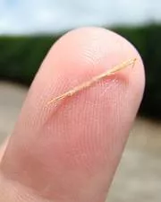 Sliver  - A small, thin, narrow piece of something cut or split off a larger piece.