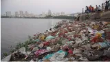 Reduce  segregate  on plastic ban