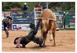 Bite the dust - To die or be killed or fail.