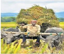 A vote of no confidence from the farmers