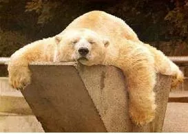Lethargy - Physical or mental inertness.