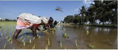 A case for zero budget natural farming