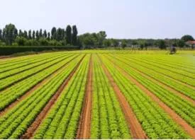 Agrarian  - Relating to cultivated land or the cultivation of land.