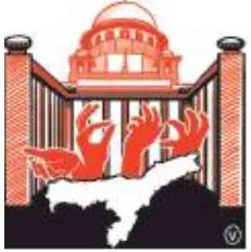 When judiciary forays into executive zone
