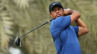 Back from the woods   on tiger’s return 