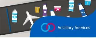 Ancillary  - Additional, or providing additional support or help.