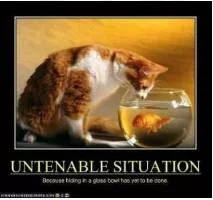Untenable  - Not able to be maintained or defended against attack or objection.