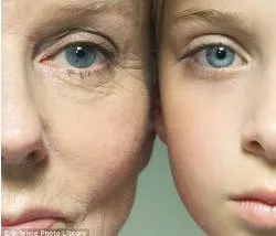 Inherited - Genetically passed or capable of being passed from parent to offspring.