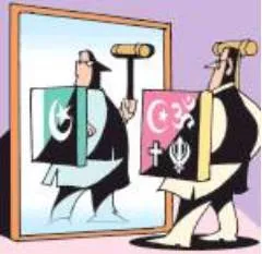 Reflecting pakistan 