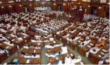 Council conundrum  on states having a legislative council 