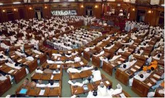 Council conundrum  on states having a legislative council 