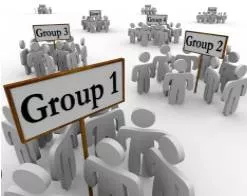 Factional - Involving two or more small groups from within a larger group.