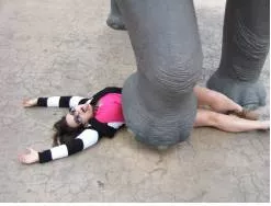 Trample  - To step heavily on or crush someone or something.