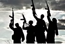 Insurgent  - A person fighting against a government or invading force.