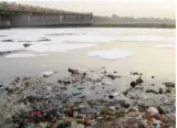 Saving rivers 