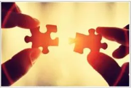 Affinity  - The fact or state of having something in common.