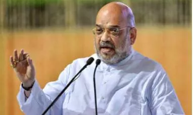 Language matters  on amit shah's 'termite' remark