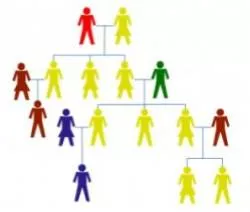 Genealogy  - A line of descent traced continuously from an ancestor.