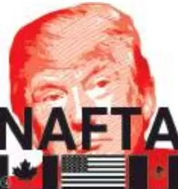 Symbolic success of trumpism in trade