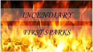 Incendiary  - (of a device or attack) designed to cause fires or tending to stir up conflict.