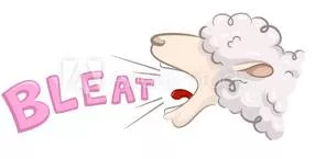 Bleat - To make the natural cry of a sheep or goat or to complain in an annoying way.