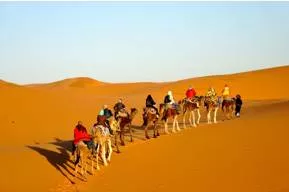 Caravan  - A company of travellers on a journey through desert or hostile regions: