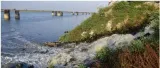 Think small  on ganga rejuvenation