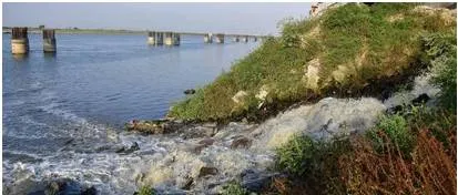 Think small  on ganga rejuvenation