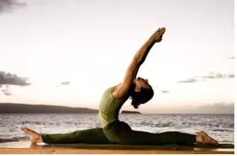 Pliant  - Easily bending or easily influenced or directed.