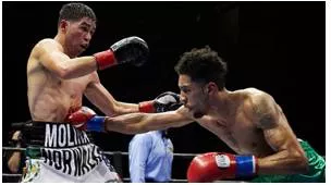 Jab - A quick, sharp blow, especially with the fist.