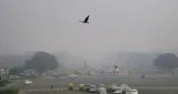 Choked by smog  on air pollution