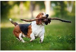 Retrieve  - Get or bring (something) back from somewhere.