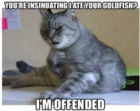 Insinuate  - To suggest, without being direct, that something unpleasant is true: