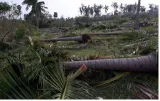 Trail of destruction  on damages caused by cyclone gaja