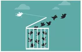 Autonomy  - Freedom from external control or influence; self rule.