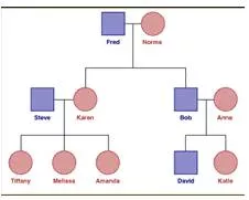 Pedigree  - The recorded ancestry or lineage of a person or family.