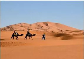 Nomadic  - Traveling from place to place.