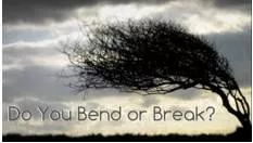 Resilience  - The capacity to recover quickly from difficulties:
