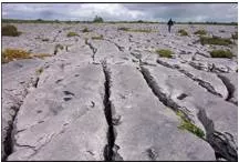 Fissure  - A long, narrow opening or line of breakage made by cracking or splitting, especially in rock or earth.