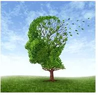 Amnesia  - Loss of memory due usually to brain injury, shock, fatigue, repression, or illness.