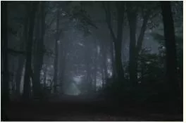 Murky  - Dark and gloomy, especially due to thick mist.