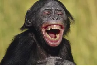 Farcical  - Very silly, unlikely, or unreasonable, often in a way that is humorous.