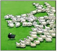 Ostracism  - Exclusion from a society or group.